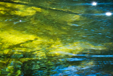 Little Manistee Watershed Photo