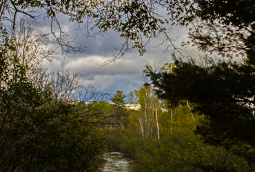 Little Manistee Watershed Photo