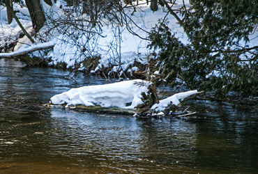 Little Manistee Watershed Photo