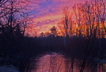 Little Manistee Watershed Photo