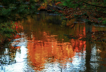 Little Manistee Watershed Photo